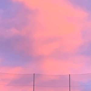 Meet your Posher, Evelyn